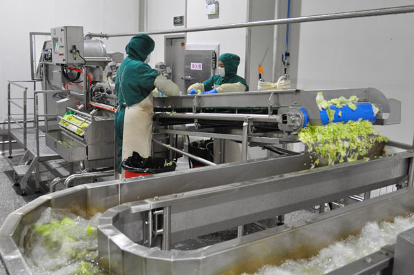 顶鲜食品公司年生产鲜切蔬菜910吨-绥化新闻网-东北网